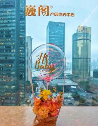 -巍阁高端月子会所