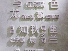 -茶颜观色(晋江店)