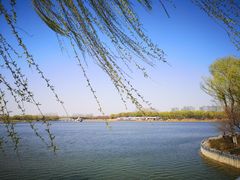 -大兴滨河森林公园