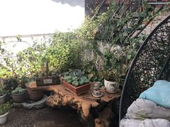 -浔岚云舍mist静谧观景美宿(丽江古城店)