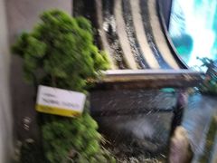 -洪氏嗨捞·猪肚鸡火锅(阳光天地店)