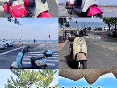 -养马岛旅游度假区