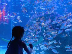 -成都浩海立方海洋公园