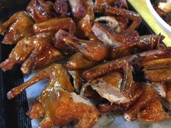 -鸽王世家(东华东路店)