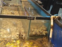 -遇上西雅图多融合海鲜自助餐厅(中房金谊广场店)