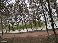 -丁香湖公园