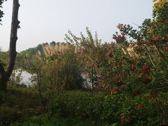 -上海怡沁园度假酒店