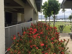 -夏威夷珍珠港