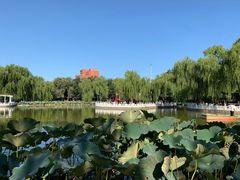 -丰台花园