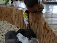 -昆明大悦城未来动物城(螺蛳湾中心店)