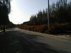 -洨河生态公园