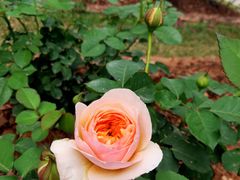 -人民公园(罗湖区)