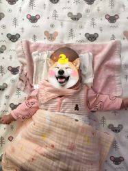 -龙文宝贝上门婴儿理发满月剃胎毛(普陀店)