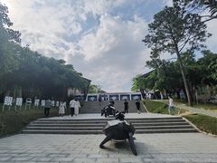-广东惠东海龟国家级自然保护区