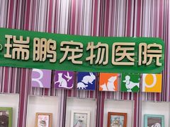 -瑞鹏·疫苗·绝育·宠物医院(金沙洲店)