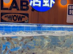 -0048鲜活香辣虾·火锅(铜陵路店)