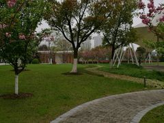 -映月湖中央公园