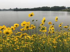-洪湖家庭农场·团建·露营·会议