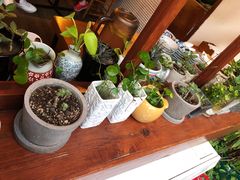 -铃木食堂(帽儿胡同店)