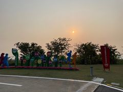 -芒洲湿地公园