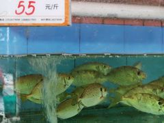-胜海大排档·海鲜·黄鳝饭(十年老店)