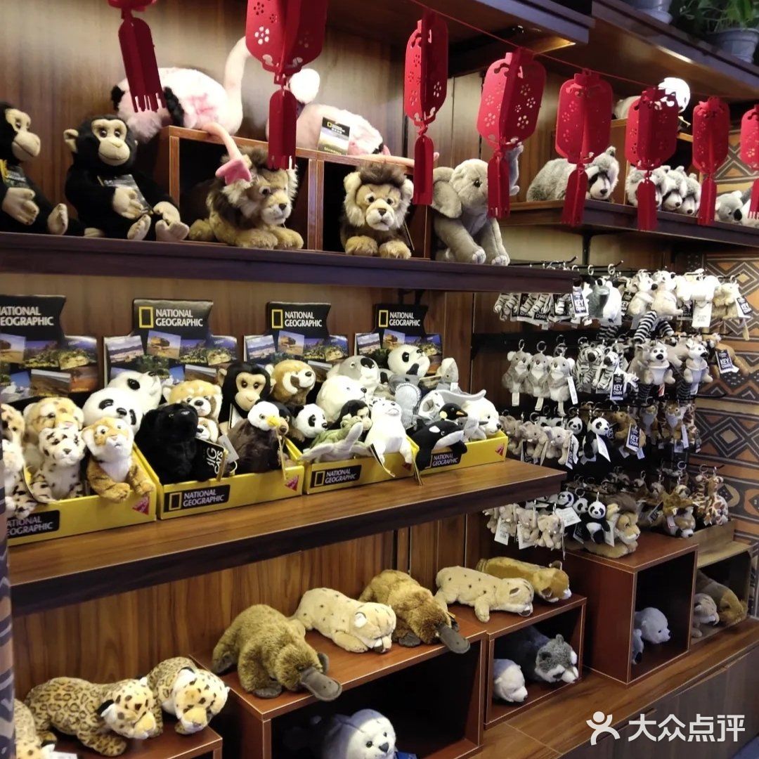 这是一家可以带孩子去参观的室内动物园