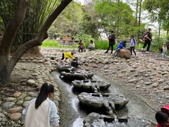 -成都市活水公园