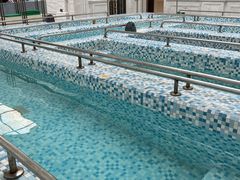 -大连金石滩绿发温泉假日酒店