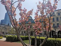 -东港音乐喷泉广场