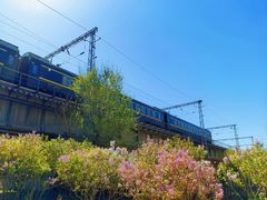 -永定河休闲森林公园