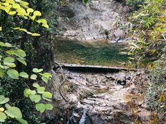 -南海湾森林生态园