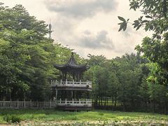 -福神岗公园