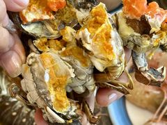 -亚马逊蒸汽活海鲜自助(LCM置汇旭辉广场店)