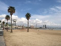 -小巴塞罗那海滩