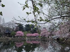 -莫愁湖公园