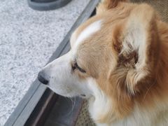 -肥朵食堂(带梦胡同店)