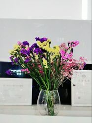 -意廊 Hair Salon