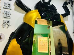 -国家自然博物馆