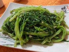 -裕华(南华东路店)