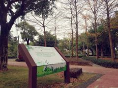 -王借岗森林公园