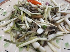 -姚林轩