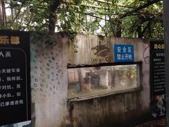 -东湖小天池真人CS彩弹野战基地
