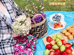 -上海山野camping·户外天幕烧烤·团建拓展营地