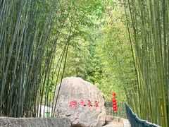 -鲁山国家森林公园