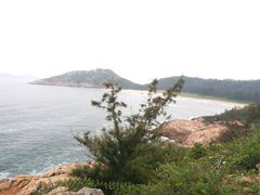 -广东惠东海龟国家级自然保护区