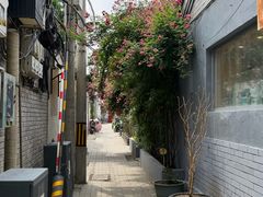 -北京国子监胡同