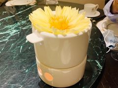 -甄御•海鲜新青岛菜(麦岛店)