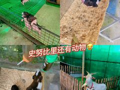 -史努比缤纷世界