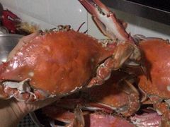 -盛华世家商业广场农贸水产综合批发市场