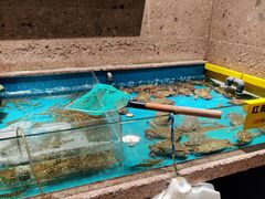 -杭越海鲜(迪荡店)